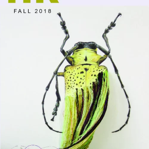 Hypertext Review Fall 2018