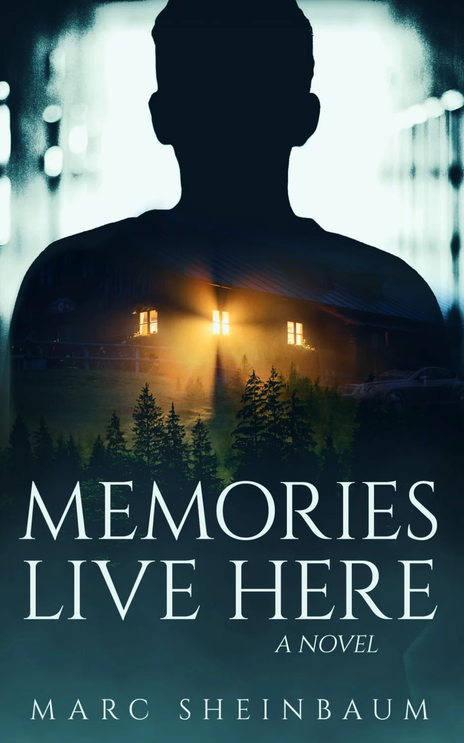 Excerpt: Marc Sheinbaum’s MEMORIES LIVE HERE