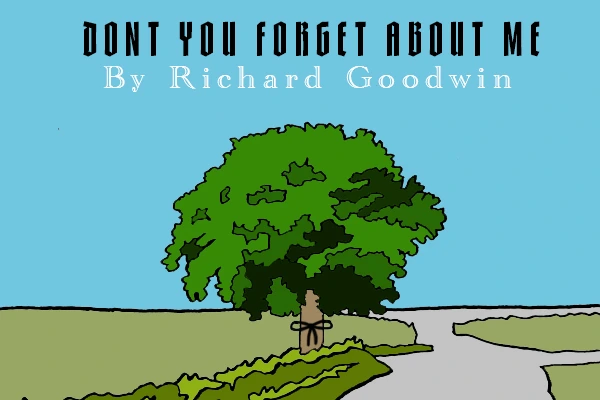 Don’t You Forget About Me by Richard Goodwin