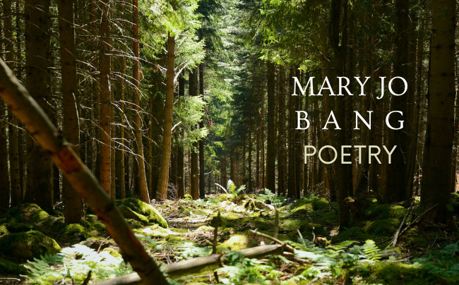 Marian Armor or Mary in Amor