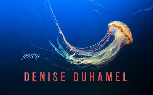 Fortunately, Unfortunately, Florida!