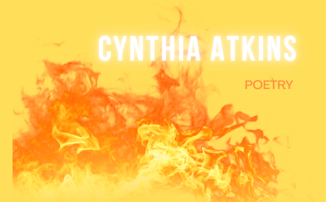 FAHRENHEIT 451: BOOKS, GUNS & BABIES