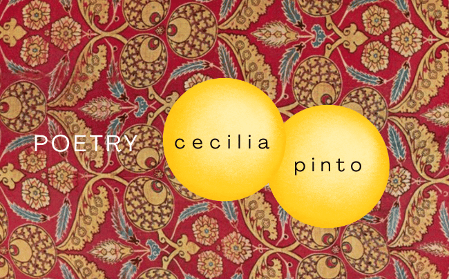 This blanket, this brush