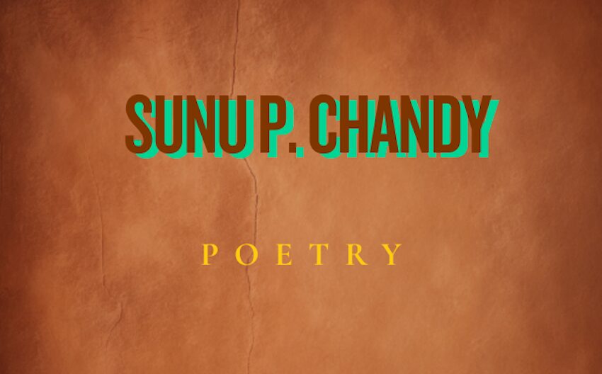 Being and Belonging: Flying While Fat