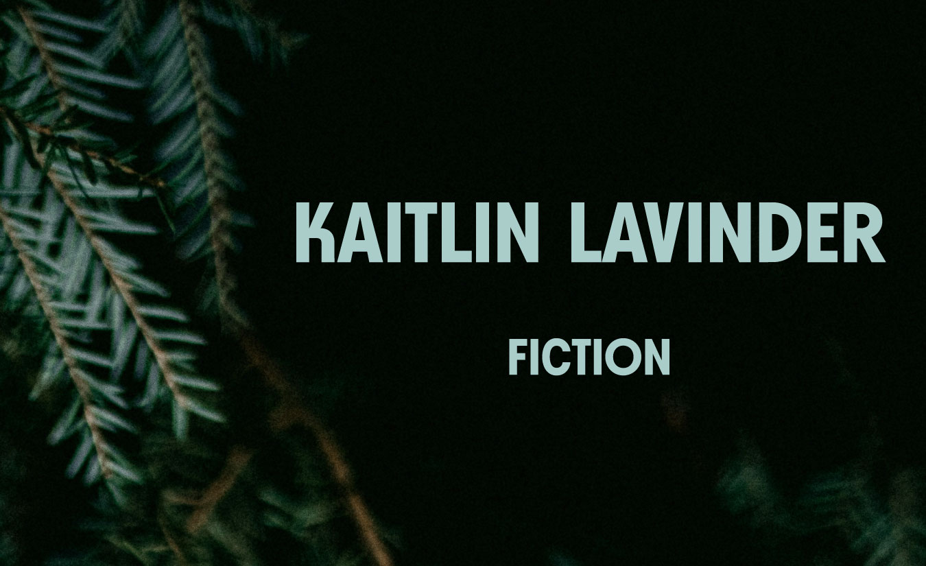 The Crows Are Eating